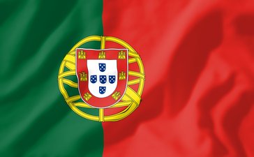 Zagraniczne odsłony portugalskich stron WWW