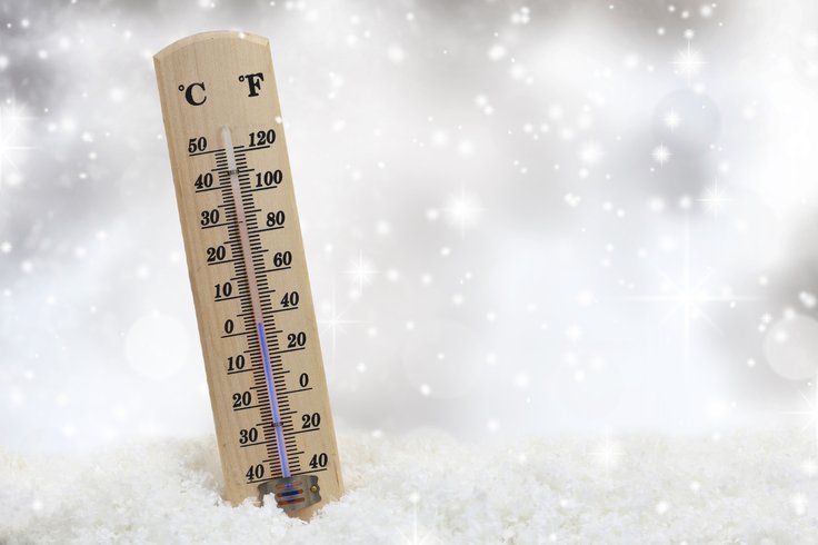 Poles checking weather forecasts online