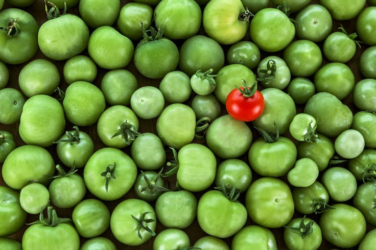 How to select websites for ad campaigns?