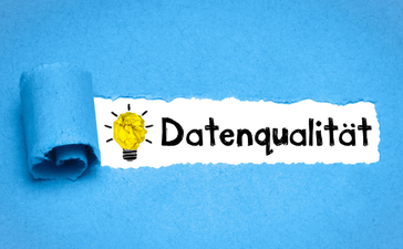 How to forge a succesful business from data