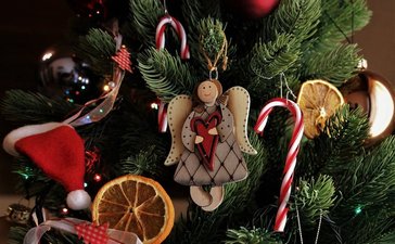 christmas-tree-6883263_1280_qfBAxbc.width-736