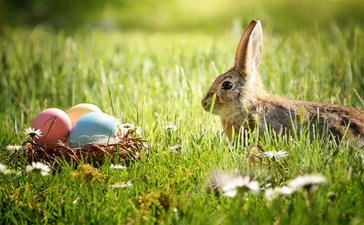 #Mediapanel case study: Recipe for Easter