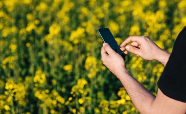 Mobile phones on the rise for Internet browsing in Estonia