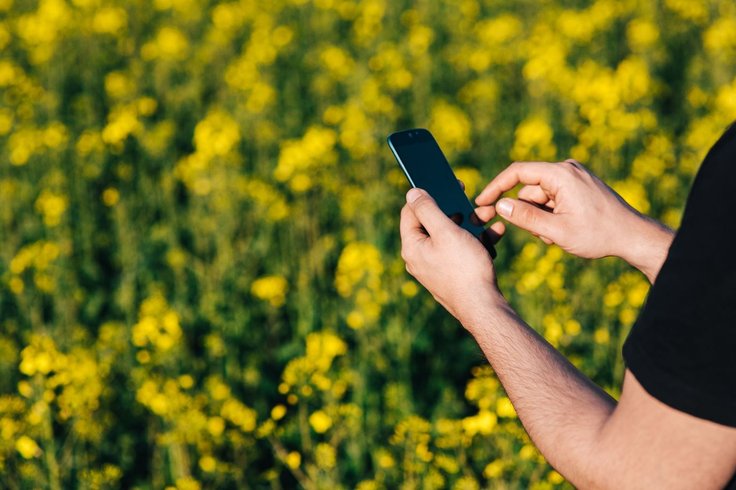 Mobile phones on the rise for Internet browsing in Estonia