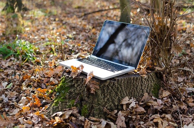 TOP 15 most visited websites in Estonia,  September, 2019