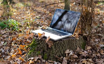 TOP 15 most visited websites in Estonia,  September, 2019