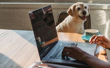 Gemius publicē interneta vietņu Top 20 maijā